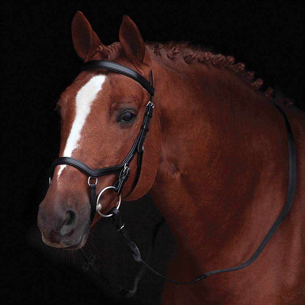 Competition Bridle P993