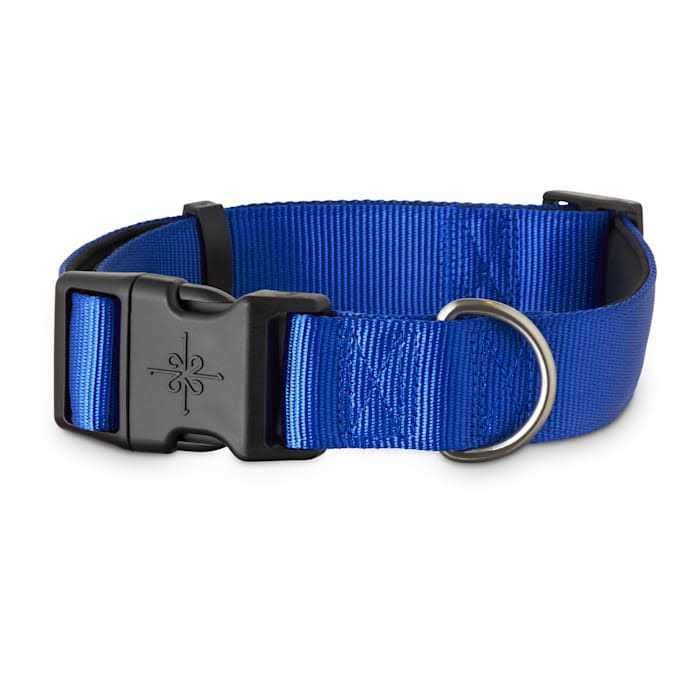 Neoprene Padded Dog Collar L71688