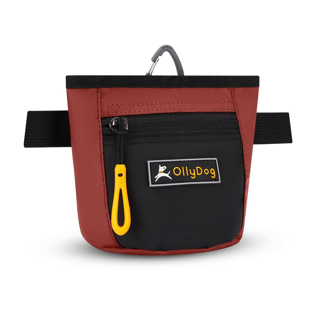 Treat Bag V362430