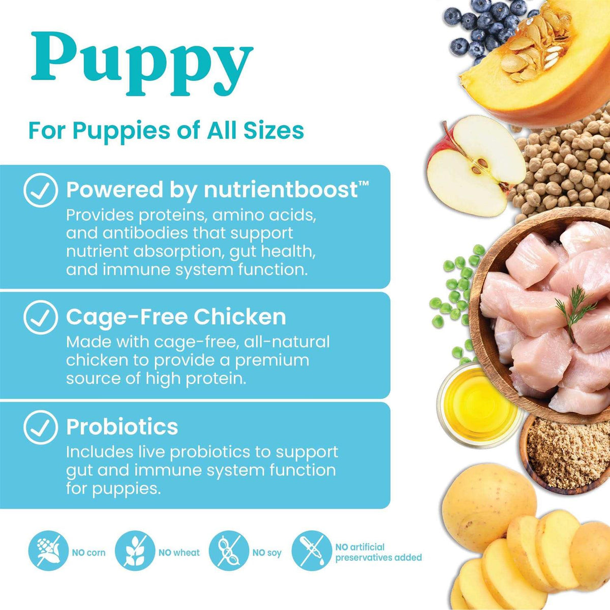 Solid Gold Chicken Dry Dog Food T7121