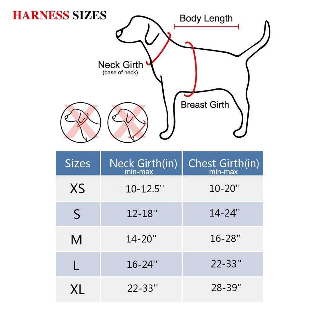 No Pull Reflective Dog Harness G58195