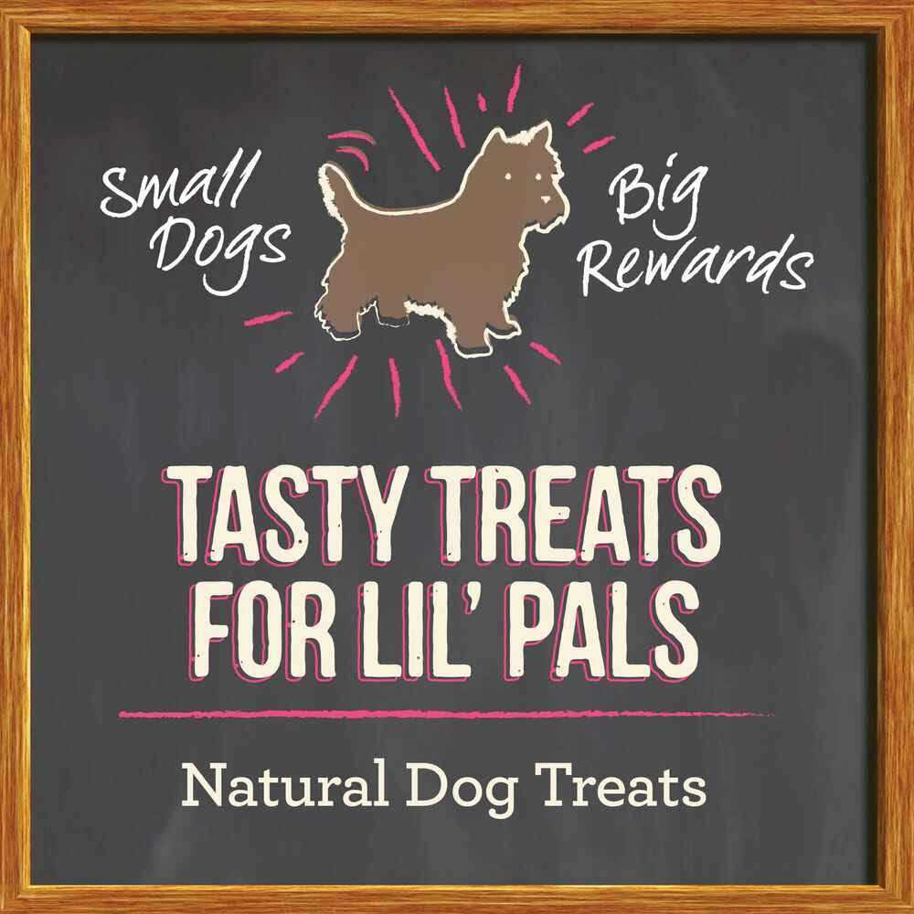 Small Recipe Dog Treats I627006