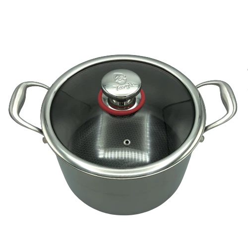 24cm Hybrid Stock Pot with Glass Lid N572