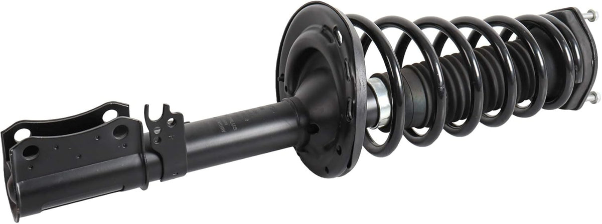 Rear Complete Strut Spring Shock Absorber T193764
