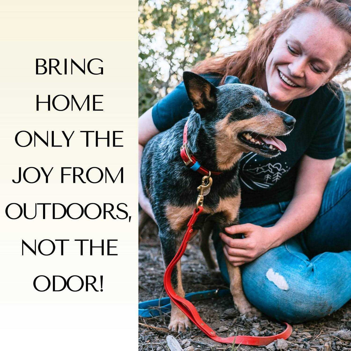 Waterproof & Odorless Dog Collar V27236