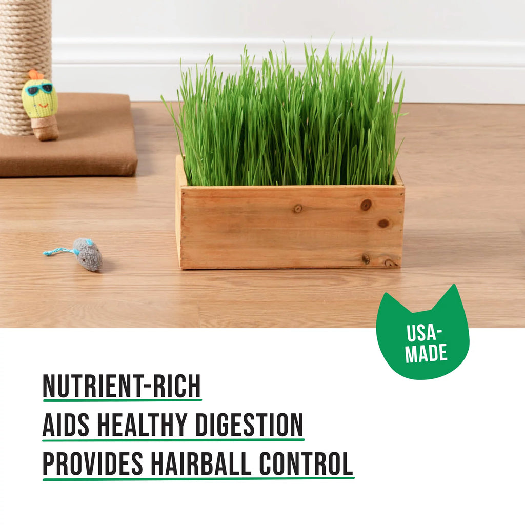 Organic Cat Grass Kit with Wood Planter, Seed and Soil F495
