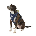 Navy Quick-Dry Dog Harness S679