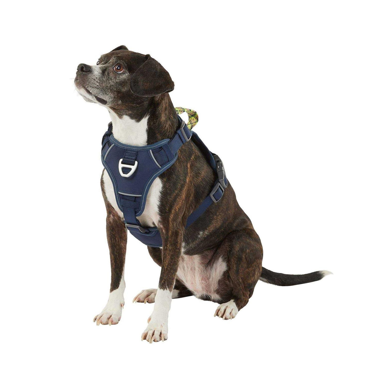 Navy Quick-Dry Dog Harness S679