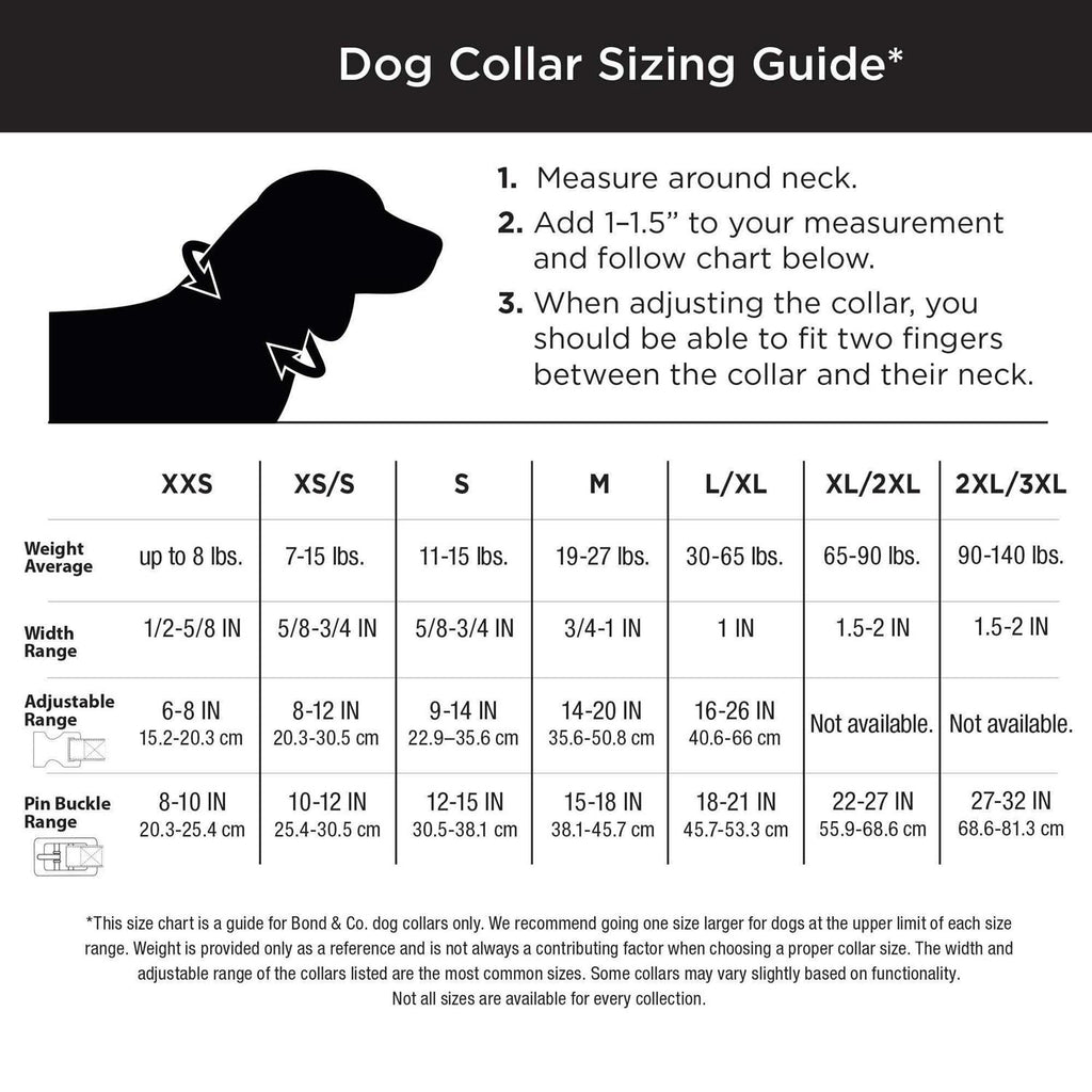 Neoprene Padded Dog Collar L71688