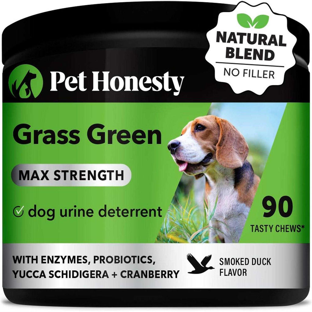 Duck Flavored Soft Chews Dog Supplement V88000