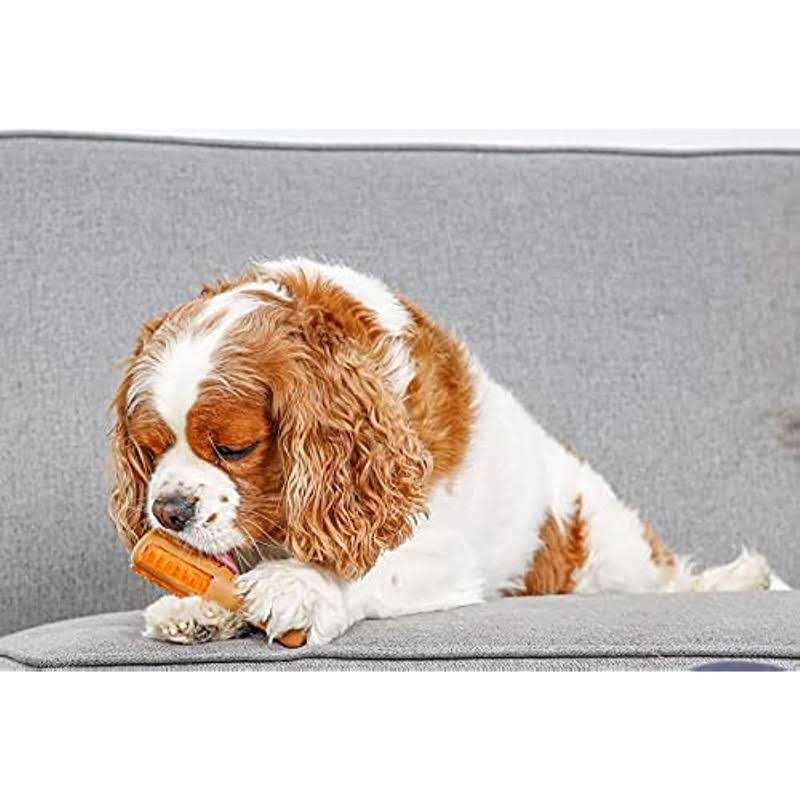 Chicken Flavored Dog Treat & Chew Toy B757718