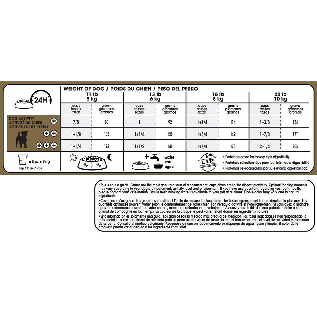 Adult Jack Russell Terrier Dry Dog Food Y629314