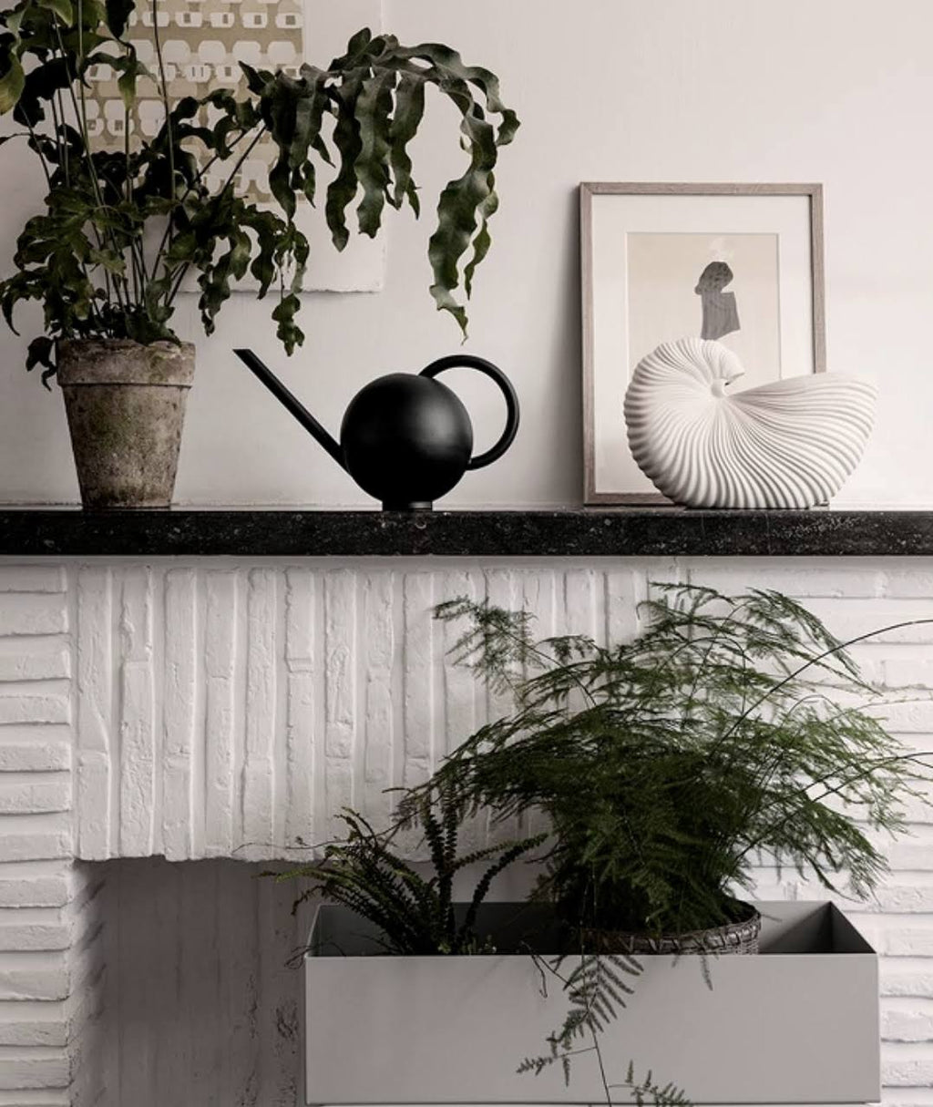 Cashmere Watering Can R174591