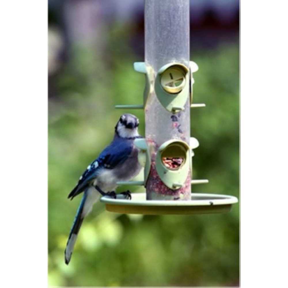 Wild Bird Food B17783