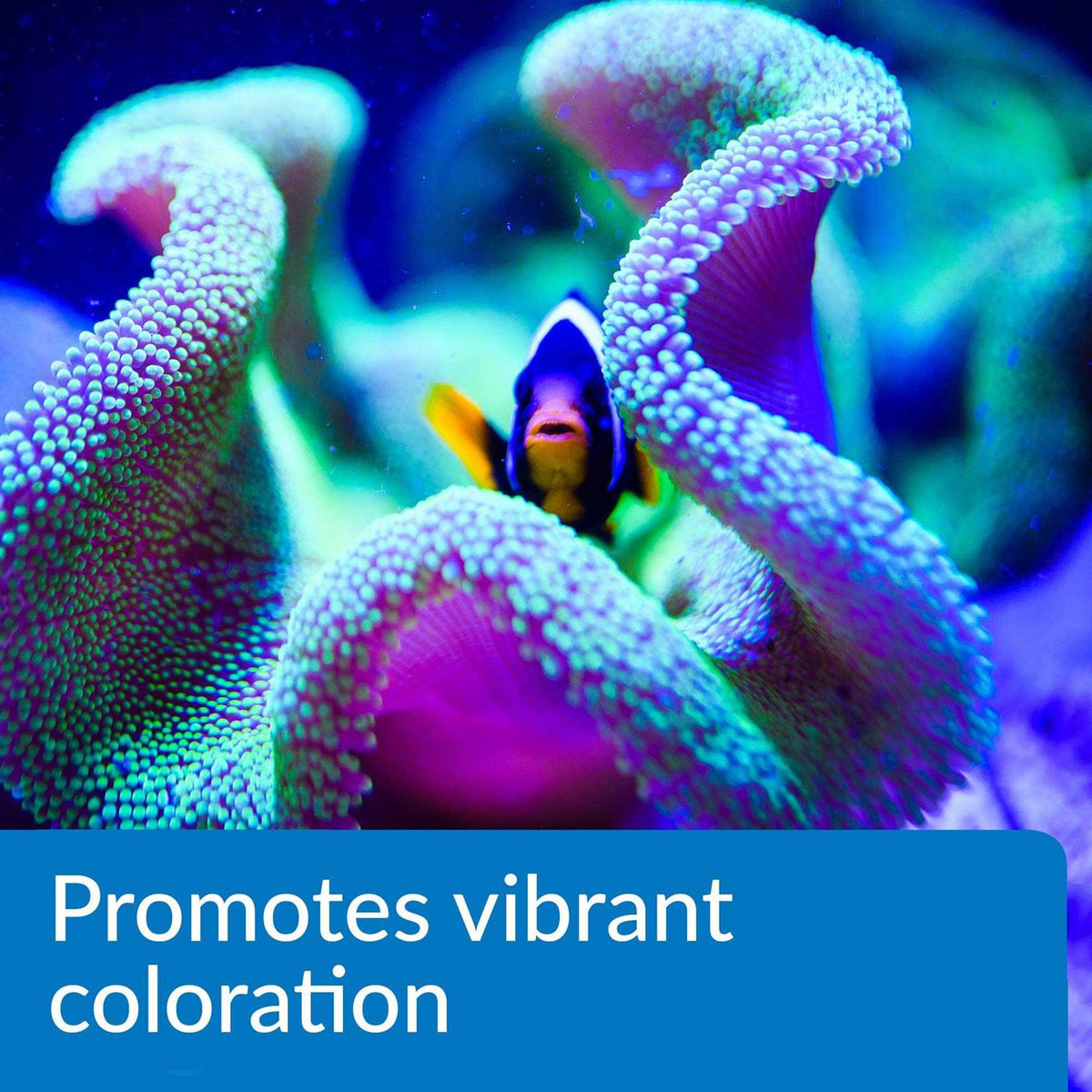 Aquarium Water Conditioner B166665