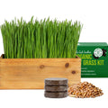 Organic Cat Grass Kit with Wood Planter, Seed and Soil F495
