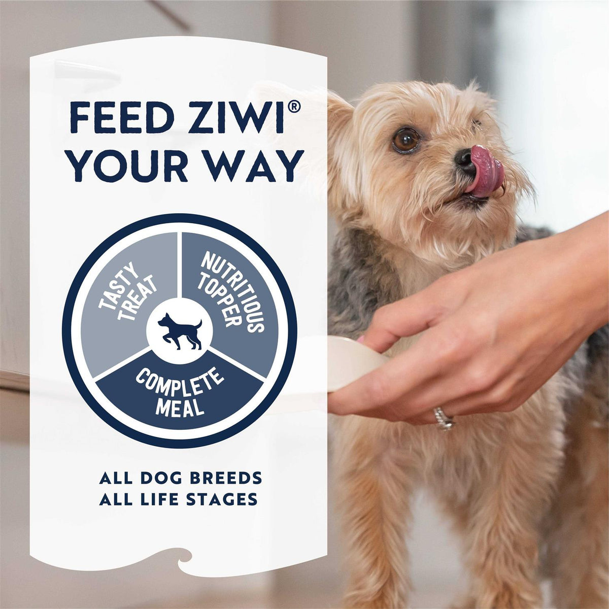 Air Dried Beef Dog Food W4945