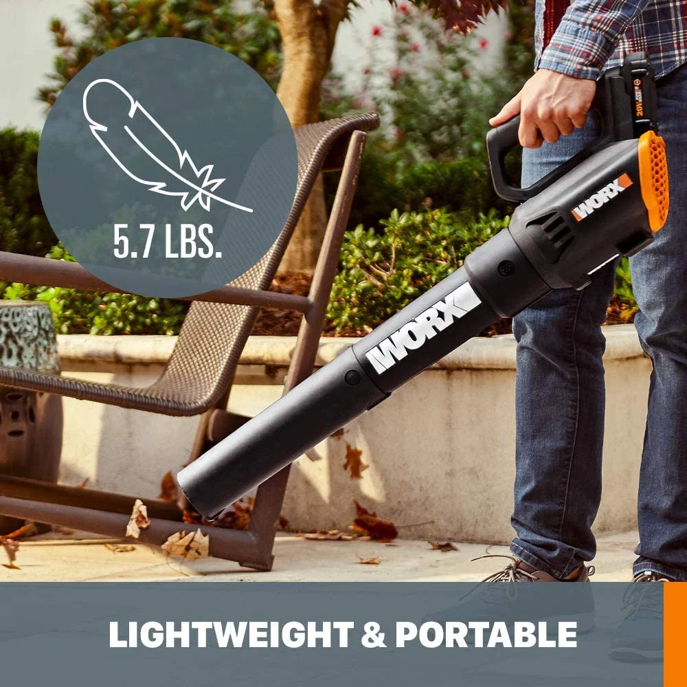 20 Volt Cordless 2 Speed Leaf Blower with 2 Batteries Y889