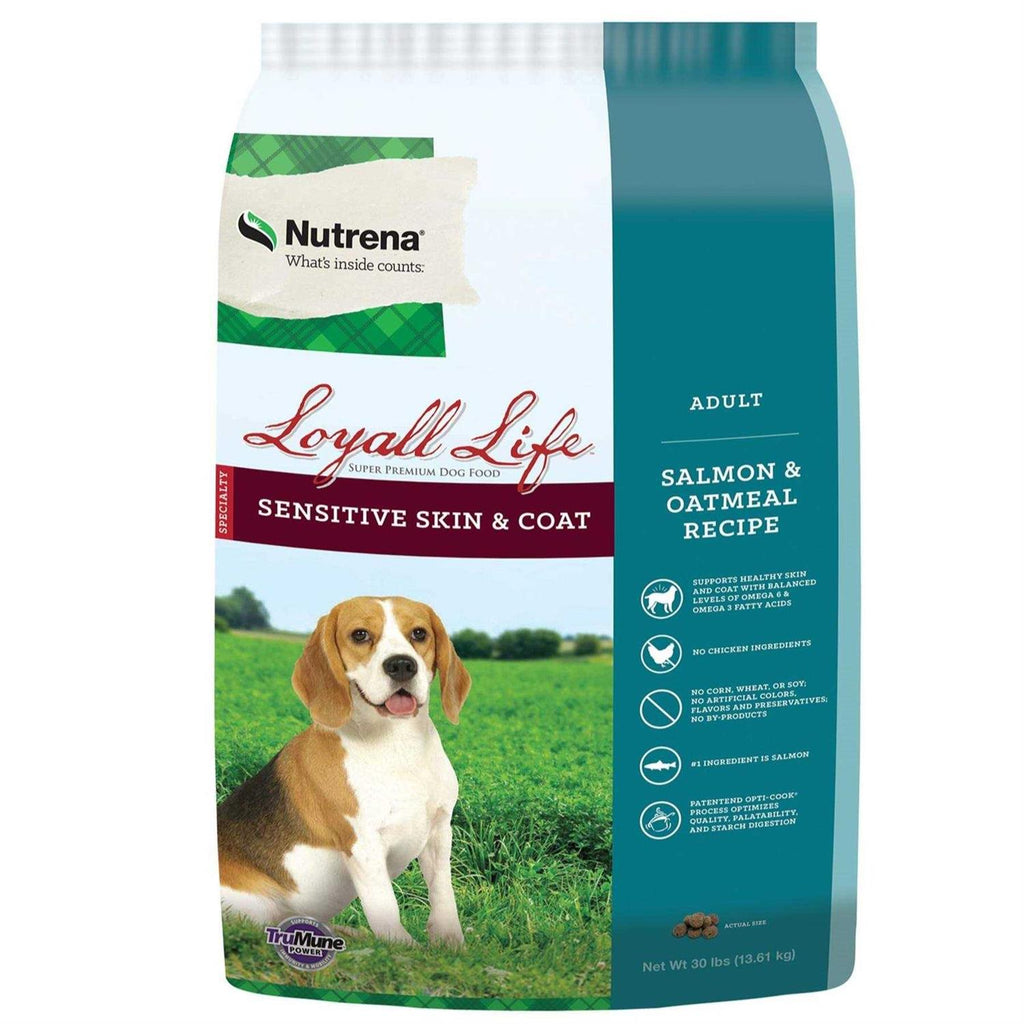 Sensitive Skin & Coat Salmon & Oatmeal Recipe Dog Food S914074