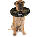 Dog & Cat Recovery Collar H561
