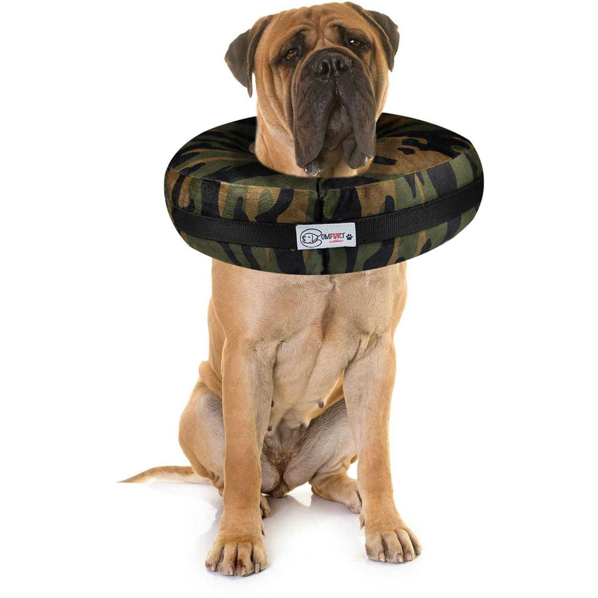 Dog & Cat Recovery Collar H561