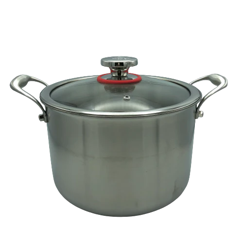 24cm Hybrid Stock Pot with Glass Lid N572