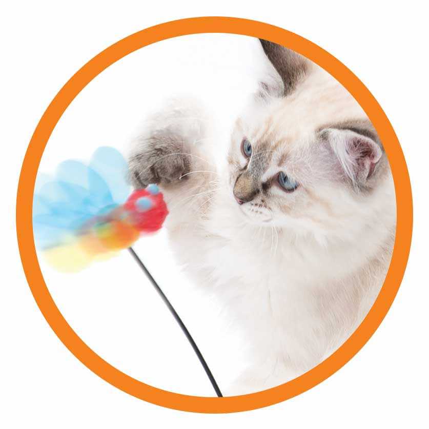Interactive Cat Toy O13995