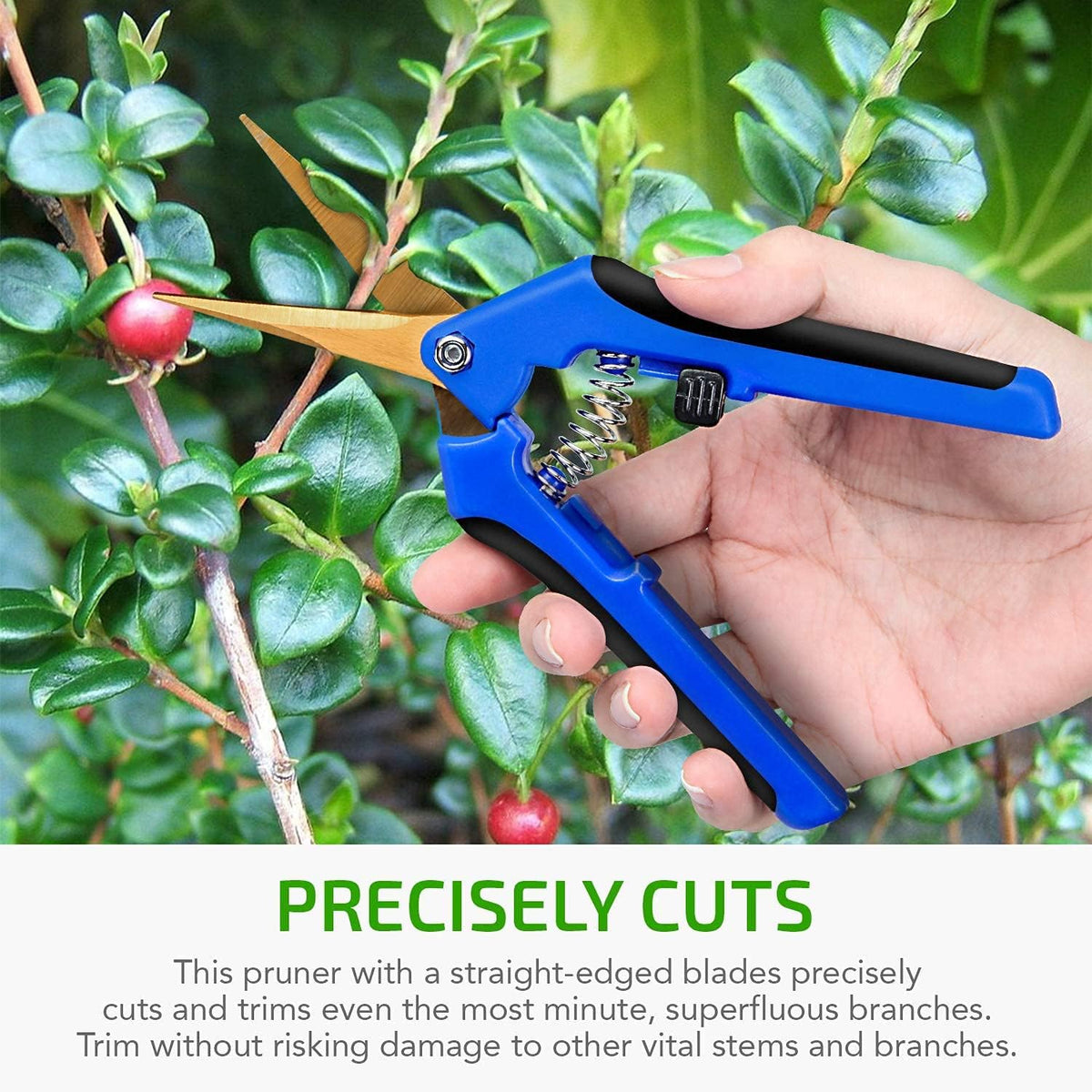 Black & Blue Bud Trimming Tray with Titanium Coated Pruning Shear Z336