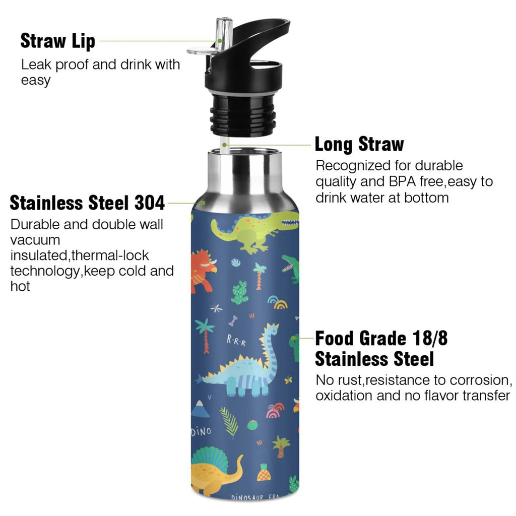 Stainless Steel Insulated Water Bottle with Straw Lid K776
