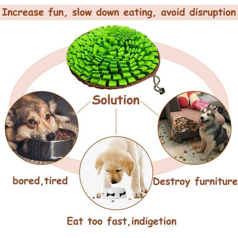 Pet Snuffle Mat B84526
