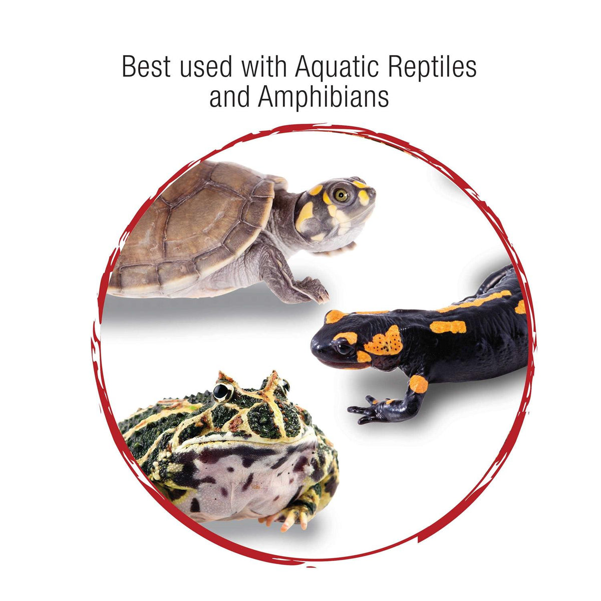 Aquatic Reptile Internal Filter M7339