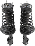 Rear Complete Strut Spring Shock Absorber T193764