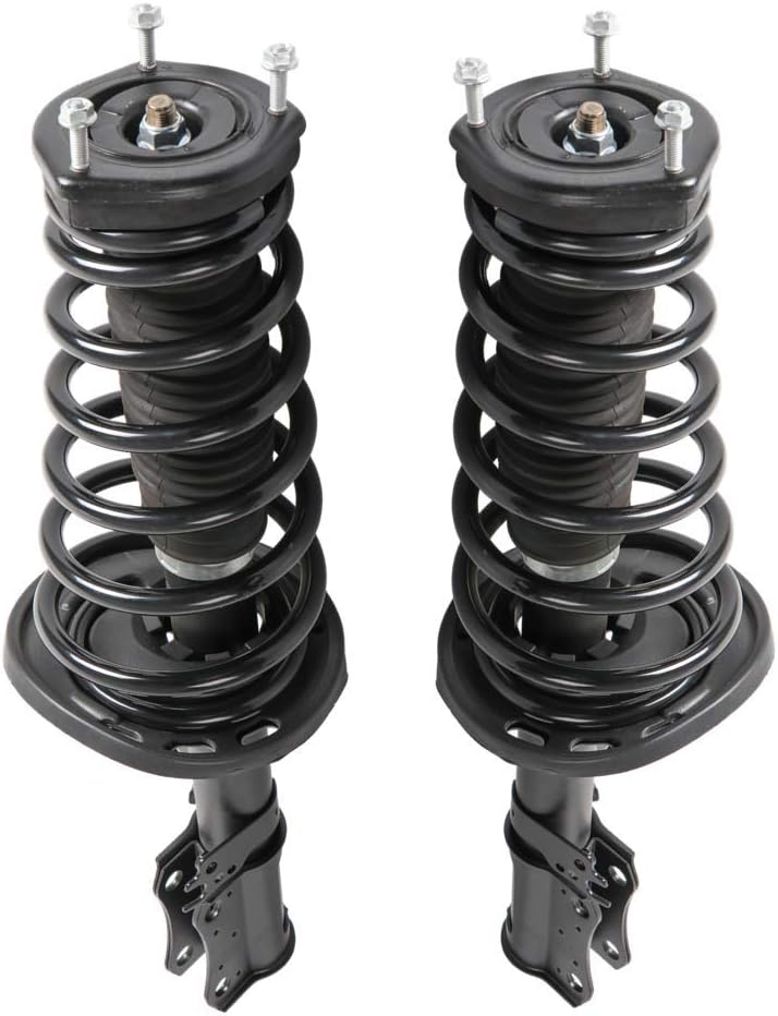 Rear Complete Strut Spring Shock Absorber T193764