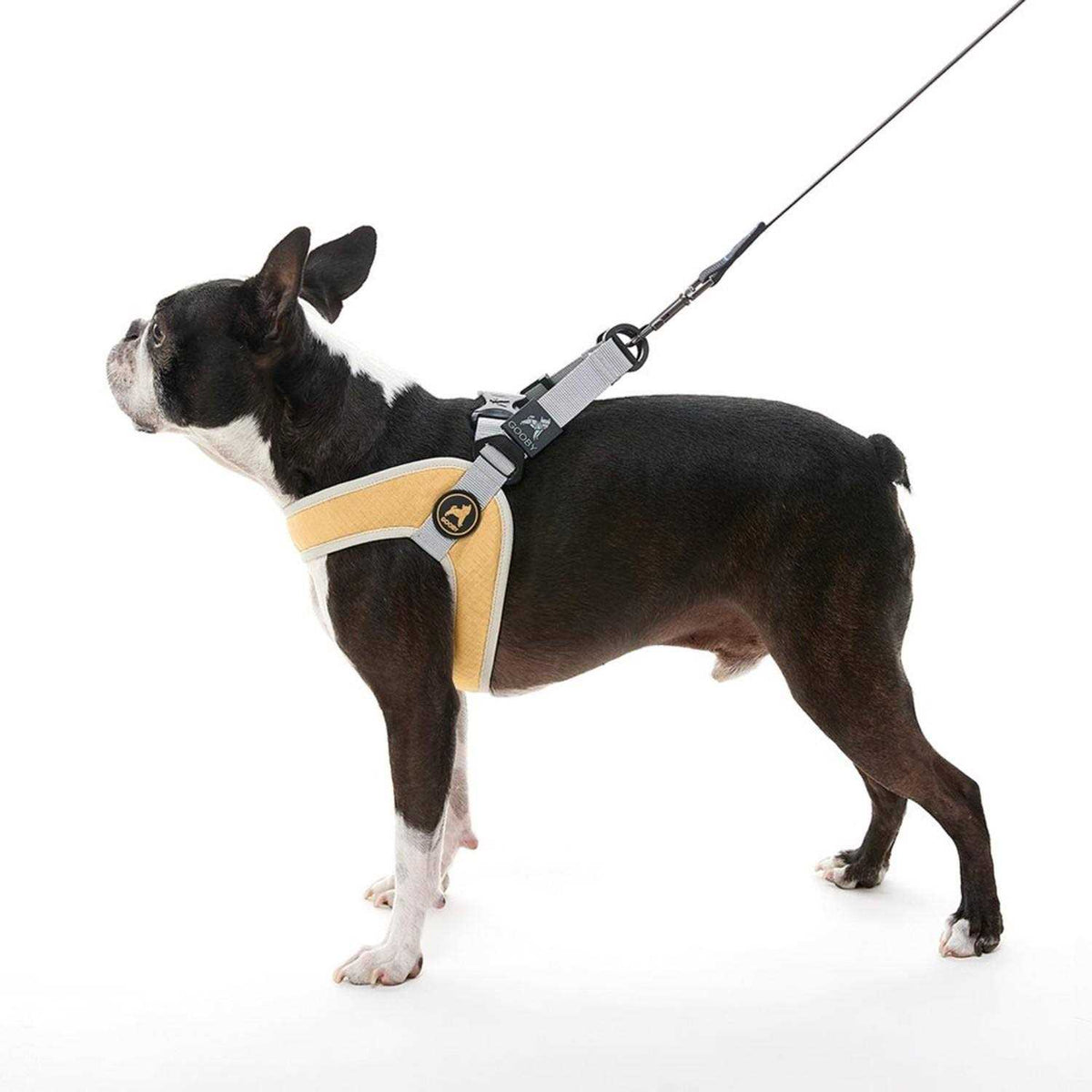 Step-In Dog Harness A801