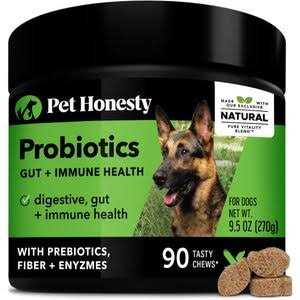 Duck Flavored Soft Chews Dog Supplement V88000