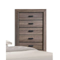 Chest Q568